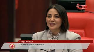 Şengül Karsli - 6. Birleşim 284
