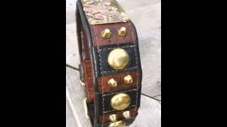 American Gladiator Dog Collar American Gladiator Dog Collar