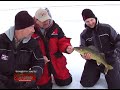 World Record Walleye Caught On Ice: Exclusive NAFC Interview