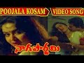 Naga Pournami Movie Songs - Poojala Kosam | Arjun | Radha | V9 Videos