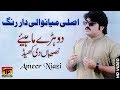 Sari Naseeban Diyan Khel - Ameer Niazi - Latest Song 2018 - Latest Punjabi And Saraiki