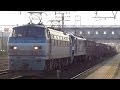 JR貨物 EF66-127+EF210-144 重連貨物列車(休翌日1353レ 代走) 清洲