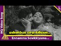 Ennamma Sowkkiyamma Video Song | Koduthu Vaithaval Movie Songs | MGR | EV Saroja | K V Mahadevan