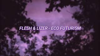Flesh & Lizer - Eco Futurism Slowed Reverb