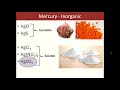 Pollution Info-Session #2 - The Chemistry of Environmental Mercury