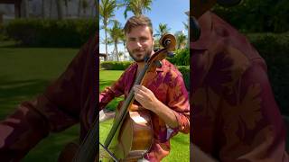 Hauser - Quando Quando Quando 🎻🌴#Hauser #Quandoquandoquando  #Music