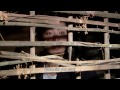 A 400-Year-Old Dream | 사백년의 꿈 - Part 1 (Drama Special / 2014.08.29)