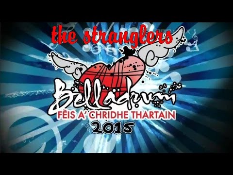 The Stranglers @ Belladrum Festival 2015