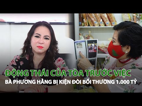 Động thái của Tòa trước việc bà Phương Hằng bị kiện đòi bồi thường 1.000 tỷ| VTC14