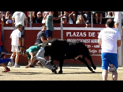Encierro y capea en Villalba sábado 28 julio 2018