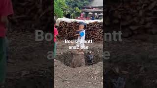 Teman Sepermainan Bocil