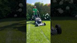 Trasforma Il Tuo Giardino, Segreti Per Un Lavoro Professionale