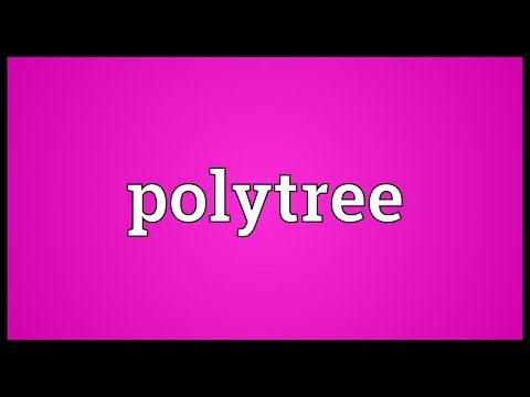 Header of Polytree