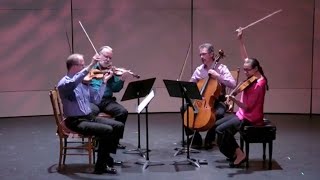 J. Haydn - String Quartet in G minor op. 74 no. 3 "Rider" | mov. IV