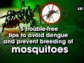 5 trouble-free tips to avoid dengue and prevent breeding of mosquitoes - ANI News