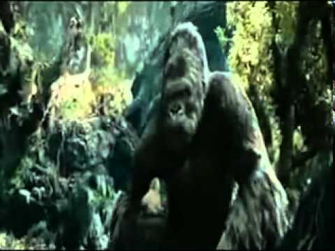 Rang kala king kong remix - cheenu sidhwan