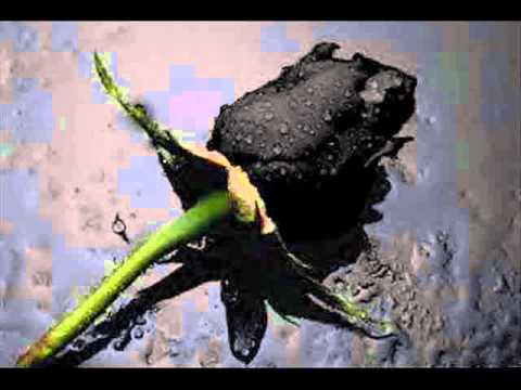 EDDY HERRERA LYRICS eddy herrera lyrics: