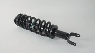 GSP ADVANTEDGE Loaded Struts: FEATURES & BENEFITS