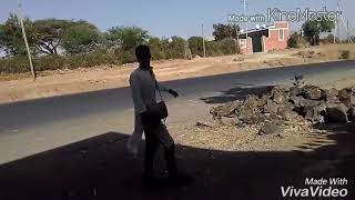 Top Habesha Vine 2