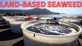 Oregon Deniz Yosunu Yetiştiriciliği Devrimi Eşsiz Bir Yosun Su Ürünleri Çiftliği Turu