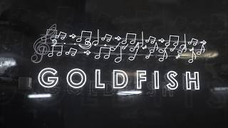 Lyric Video: Colours And Lights By Goldfish And Cat Dealers