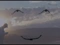 Neil Diamond - Jonathan Livingstone Seagull - Lonely Looking