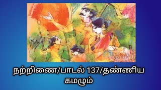 நற்றிணை/பாடல் 137 விளக்கம்/தண்ணிய கமழும்/Natrinai 137@தமிழ்கணேஷ்