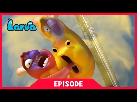 LARVA - THE TAXI | 2017 Cartoon Movie | Cartoons For Children | 라바 | LARVA Official