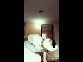 BABU RAO COMEDY//FILM FIR HERA FERI Best of acting👉musical.ly funny😂 video👈by Bunny Rajput.