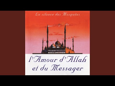Pierres De Gaza Video