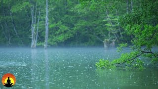 Nature Sounds, Stress Relief, Heavy Rain, Meditation, White Noise, Sleep Music, Relax, ☯3403