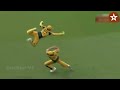 Top 10 Best Wicket Keeper Catches in Cricket History Ever