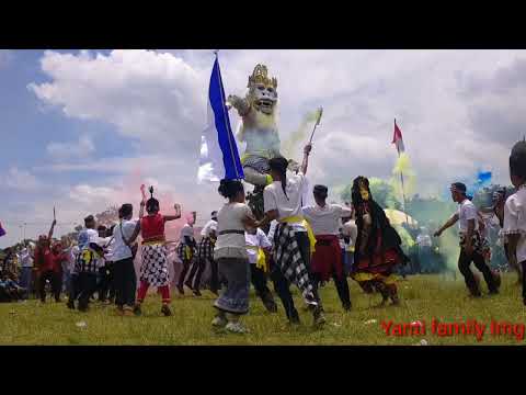 Ogoh ogoh !! ditengah lapangan heboh,Anoman putih##