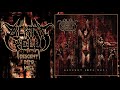 Architecture Of Suicide Video preview