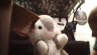 Dww Wrestling Match Number 4