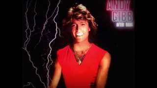 Watch Andy Gibb Dreamin On video
