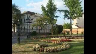 Vrsac Town