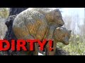 The Dirty Secret About RV Tires