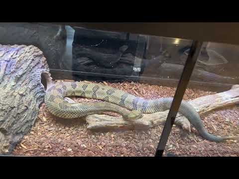 Hueston Woods Marina and Nature Center Visit