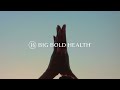 What is Big Bold Health?