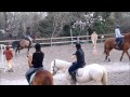 savoir si son cheval a mal au dos