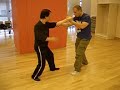 Gao Bagua application