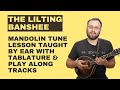 The Lilting Banshee (With Tabs & Play Along Tracks) - Mandolin Lesson