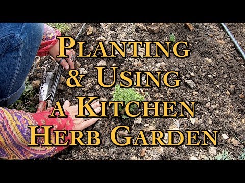 Planting & Using a Kitchen Herb Garden with Pat Battle
