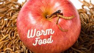 Worm Food - Pastor Chad Reisig