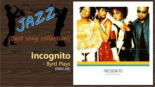 Watch Incognito Byrd Plays video