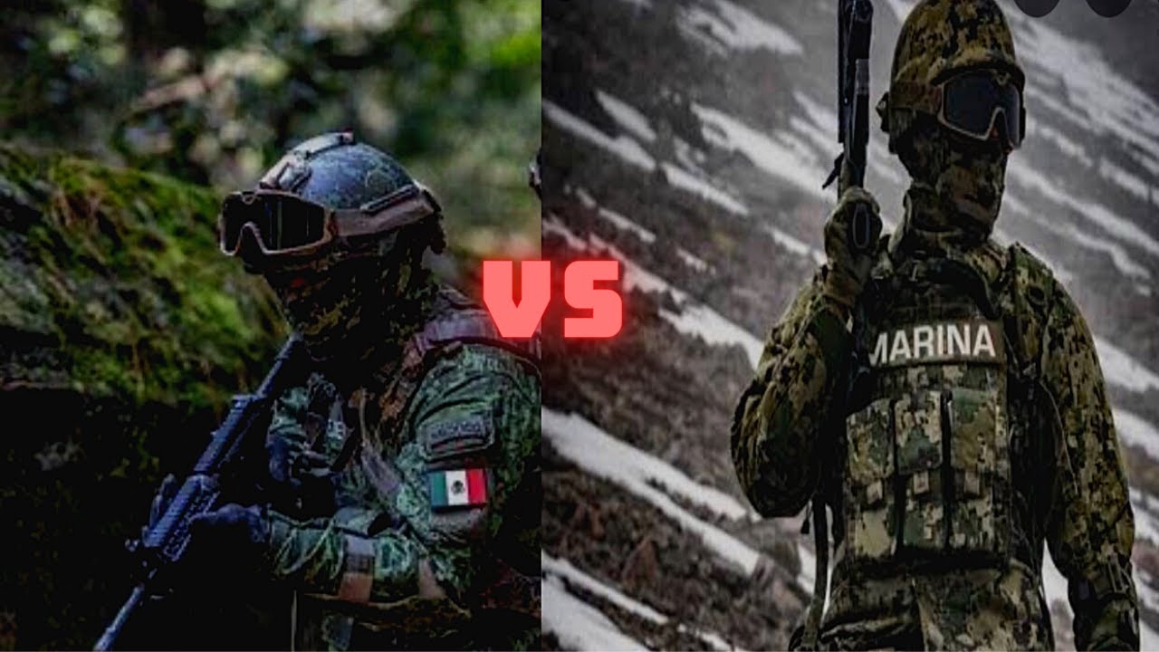Diferencias Entre La Marina Armada De Mexico Y El Ej Rcito Mexicano Hot Sex Picture