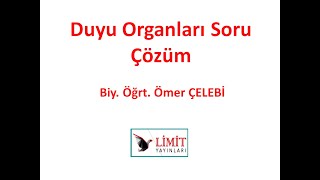 Duyu Oganları Soru Çözümü