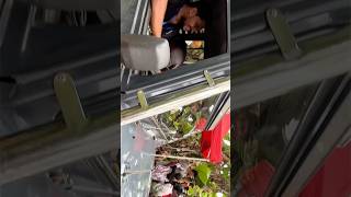 Full Video Riza Riyas.a