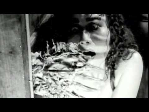 Golden Calf Video